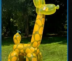 Jarrod Sprinkler inflatable