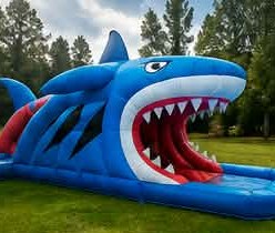 Shark Attack water slide