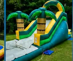 Tropical Slide water slide